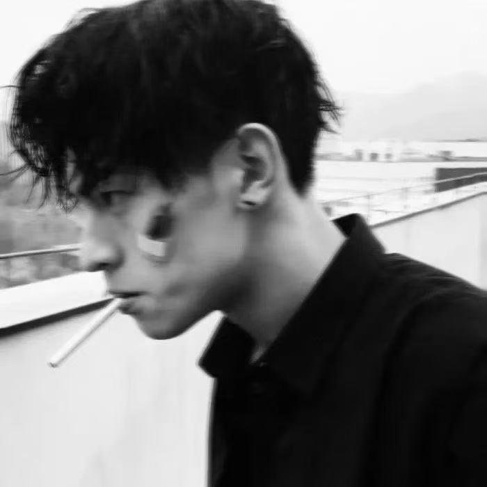 🐒……