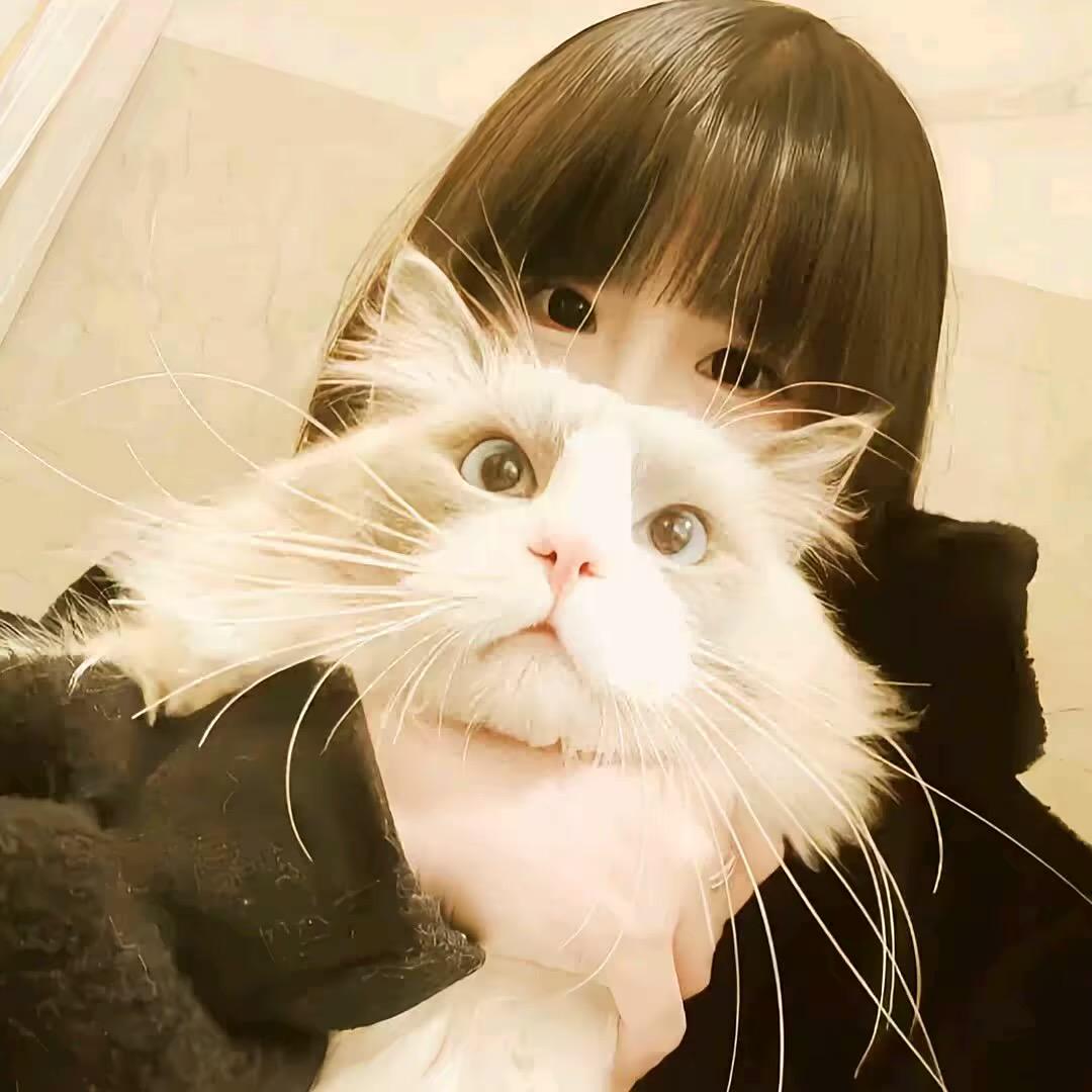🐣