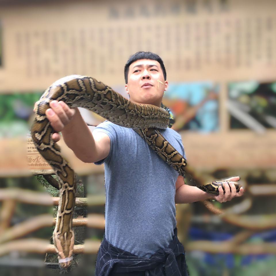 向往街里生活🦁