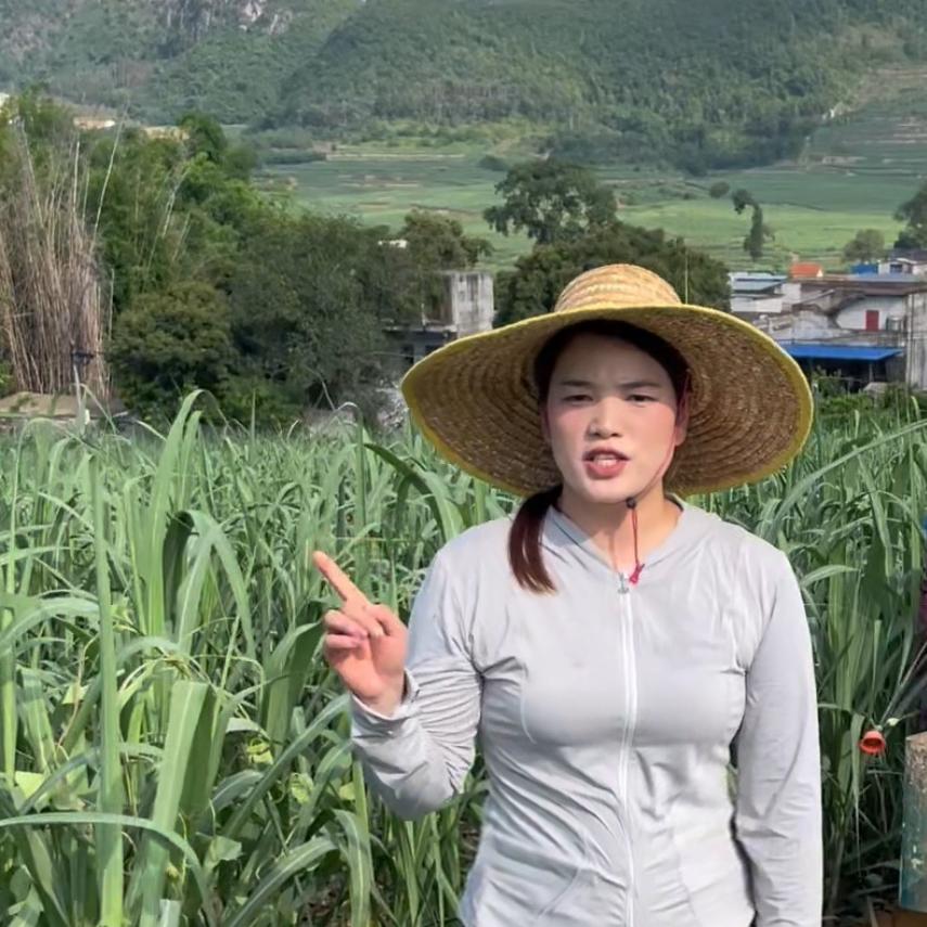 加美乐农业
