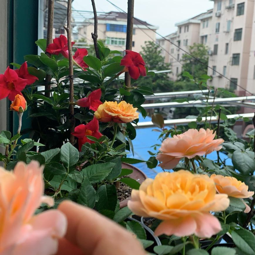 开心快乐每一天。