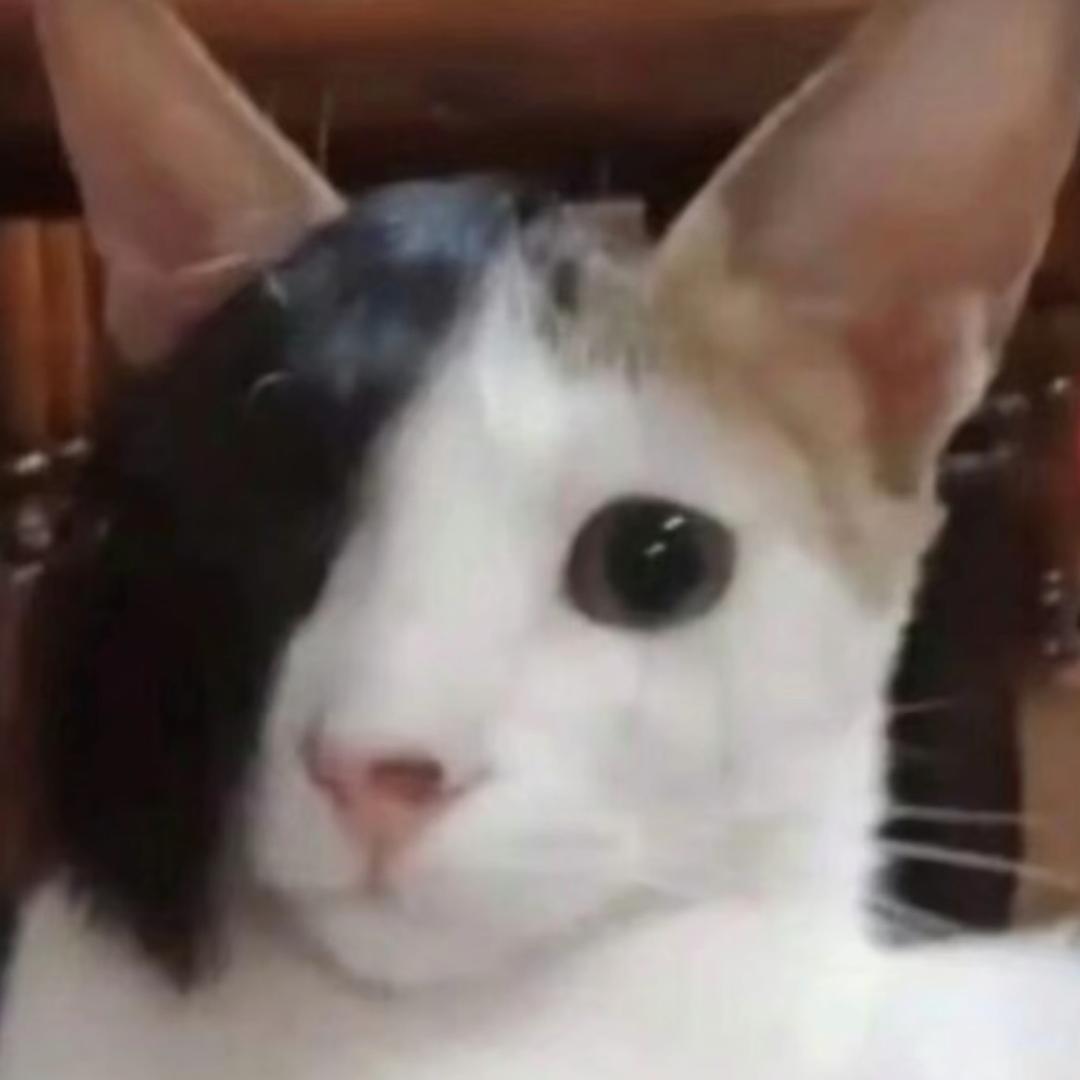 姑妈