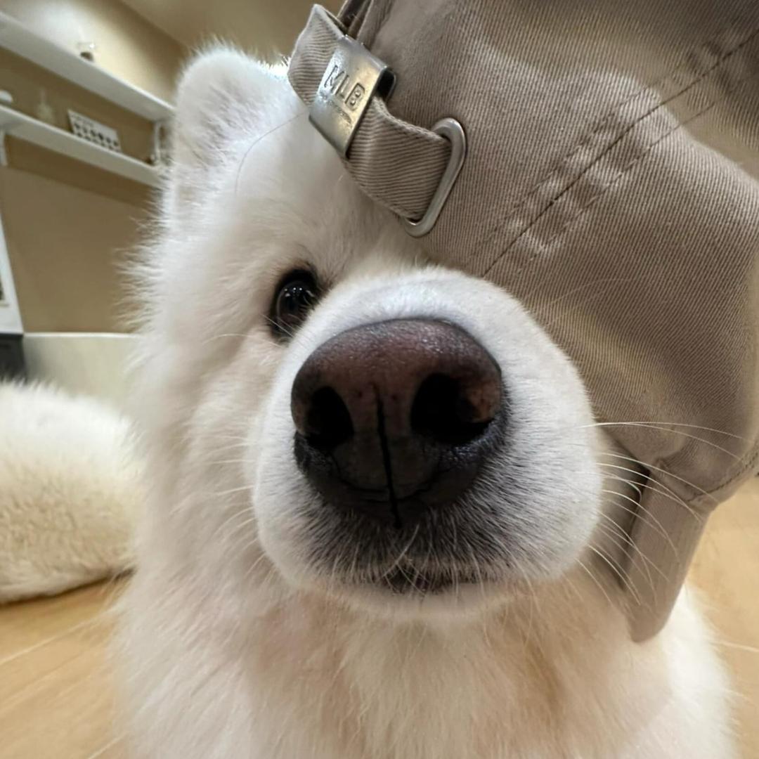装忧郁被识破
