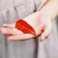 常州新兴电动工具