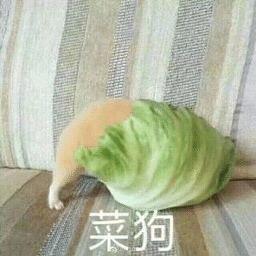 一一二二