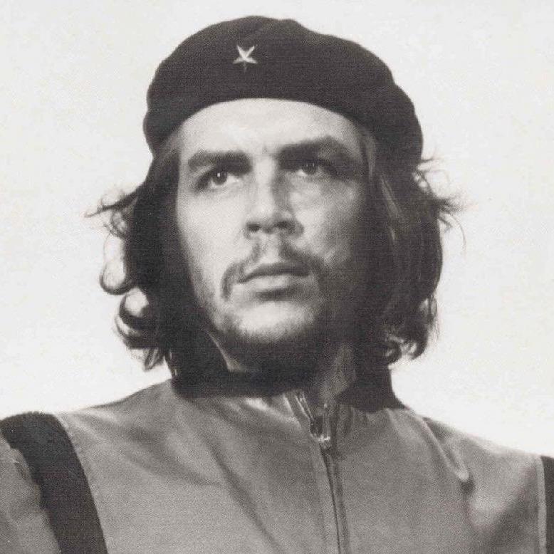 污泥处置，营养土电商，发酵菌剂