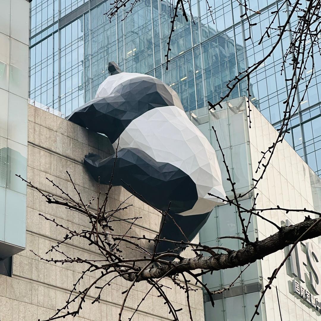 梦想的想