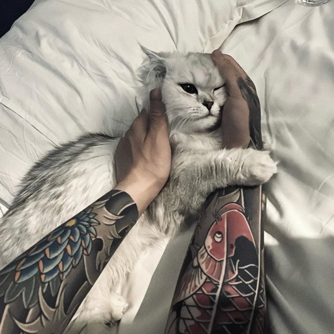 给不了你想要的