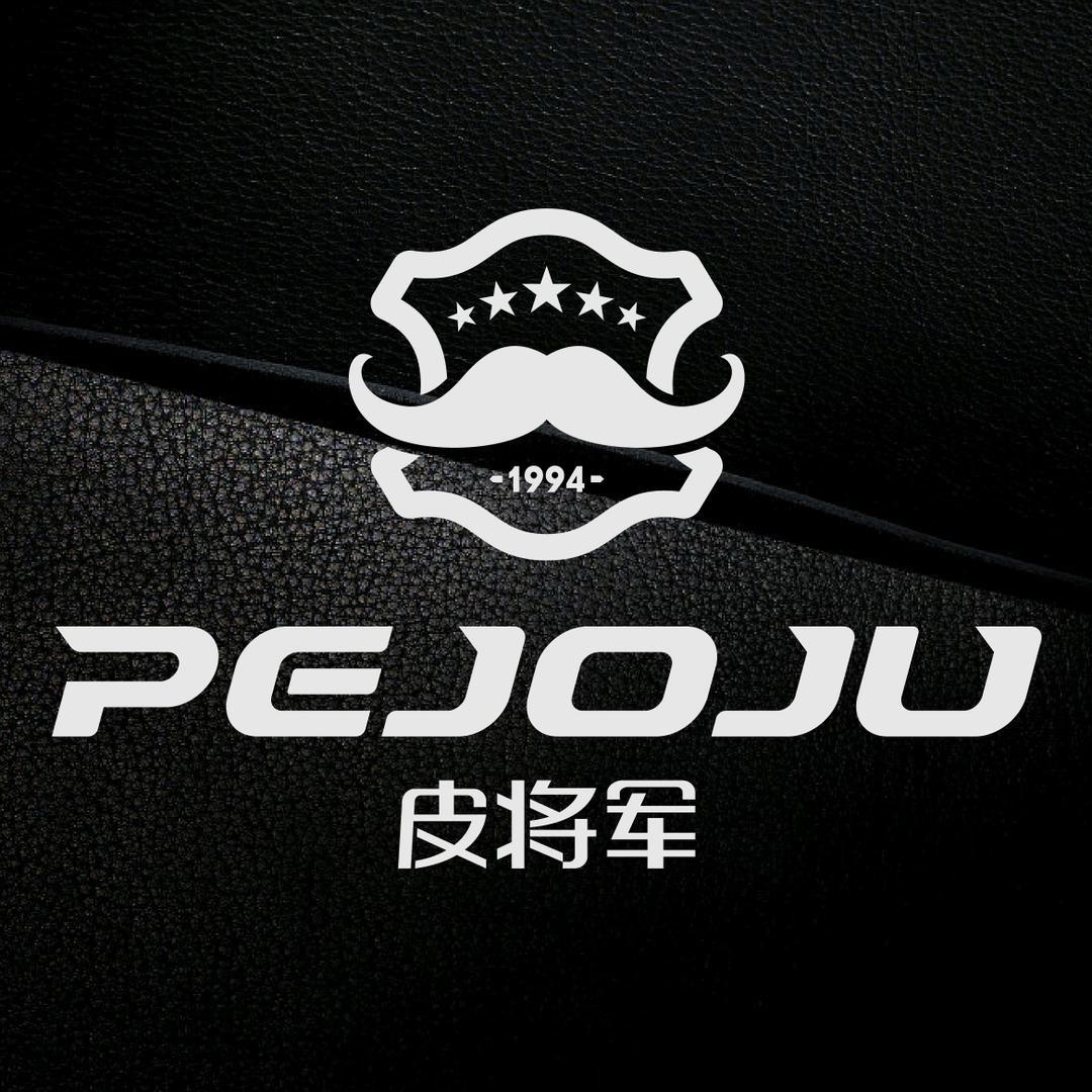 广州皮将军汽车内饰改装工厂