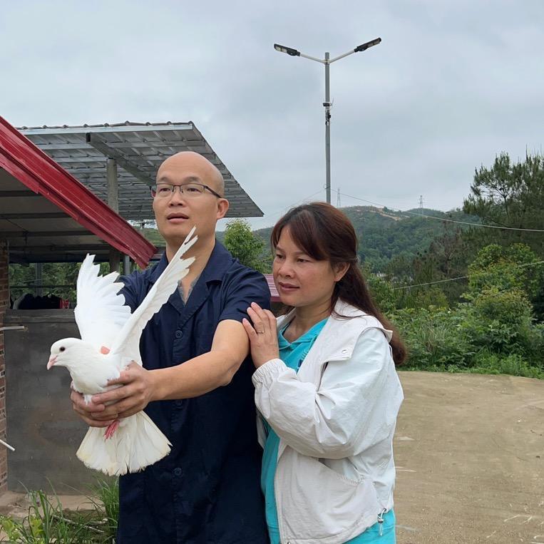 光头英子家的乡村生活