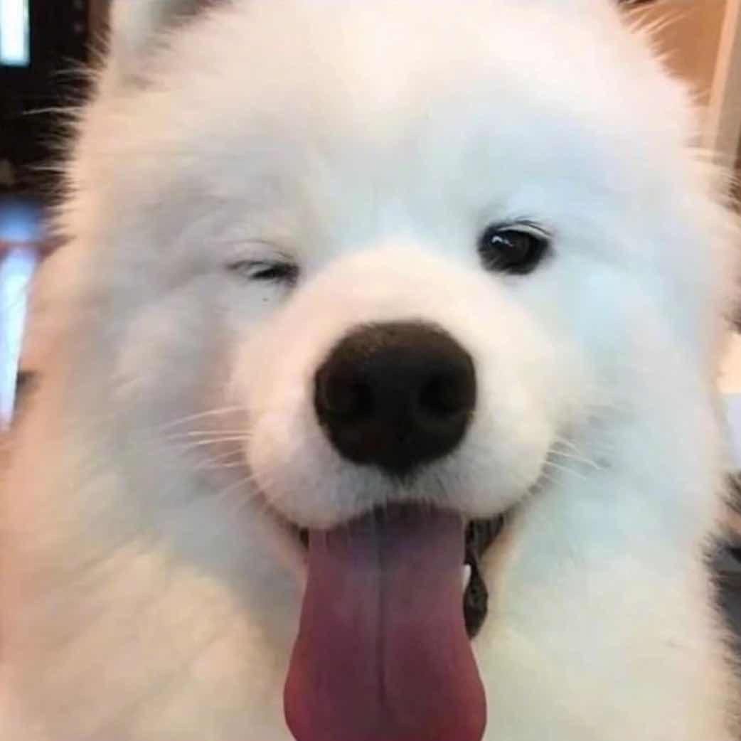 今晚的月亮真圆