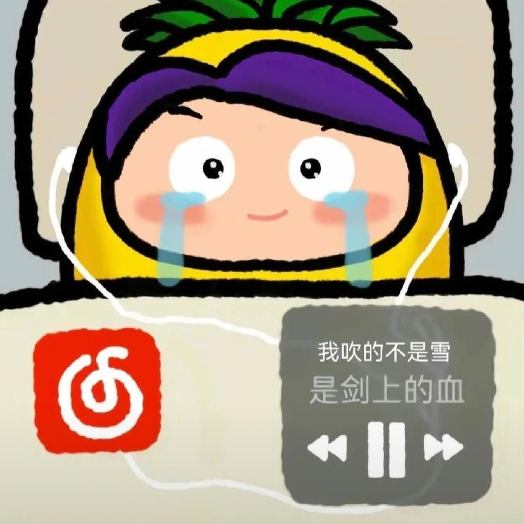 泪水打湿猪脚饭（沉淀版）