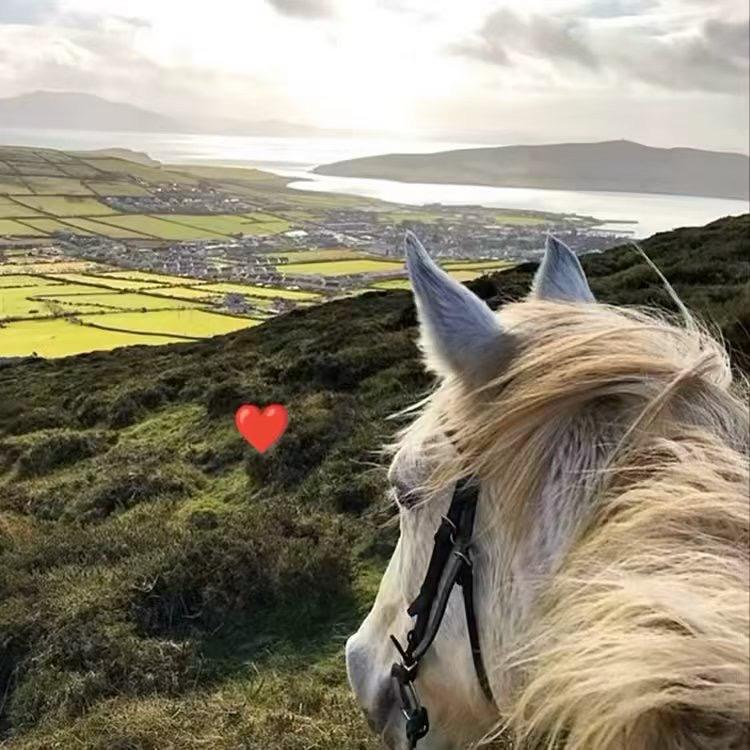 𝐄𝐥𝐳𝐚𝐭🍃