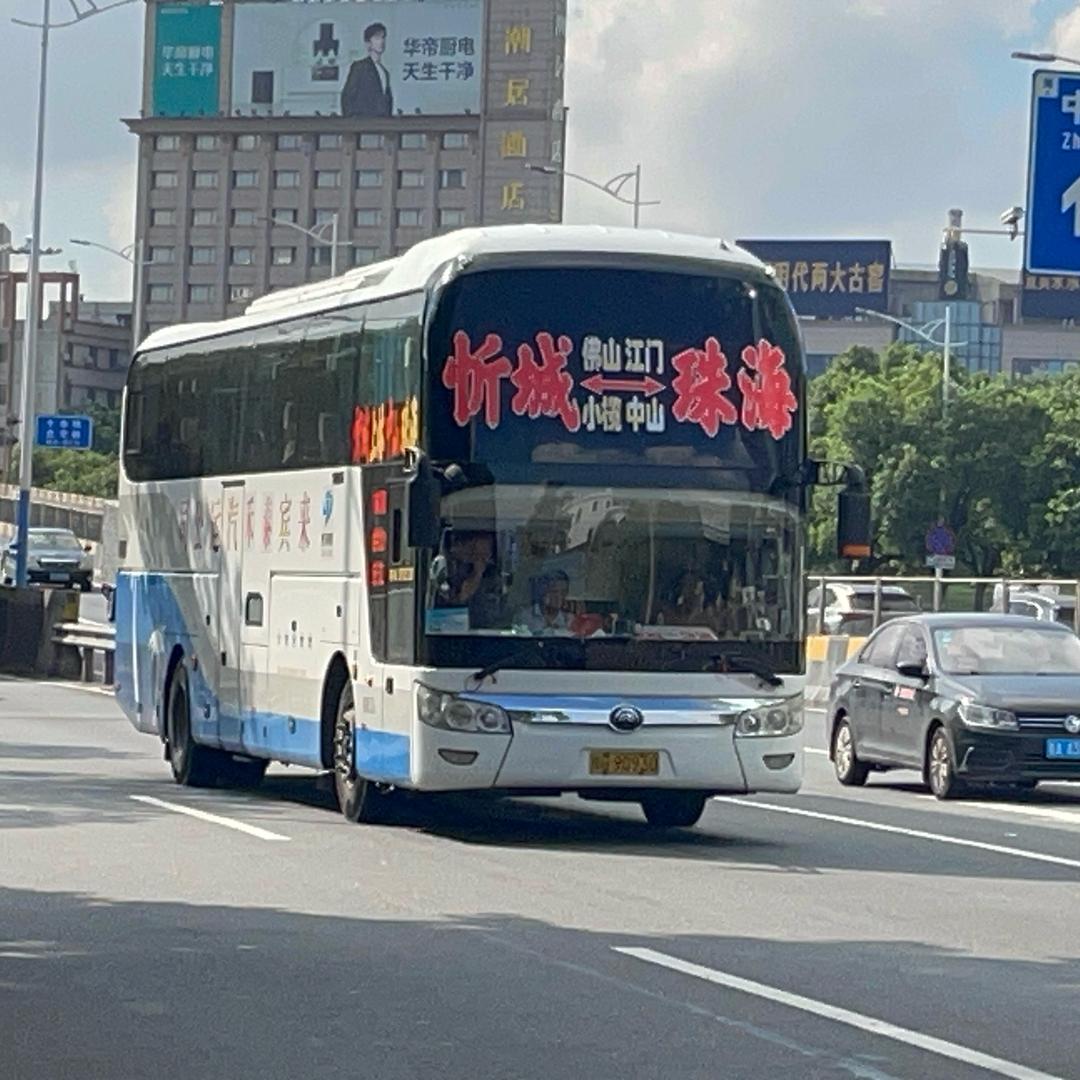 牛一头📷