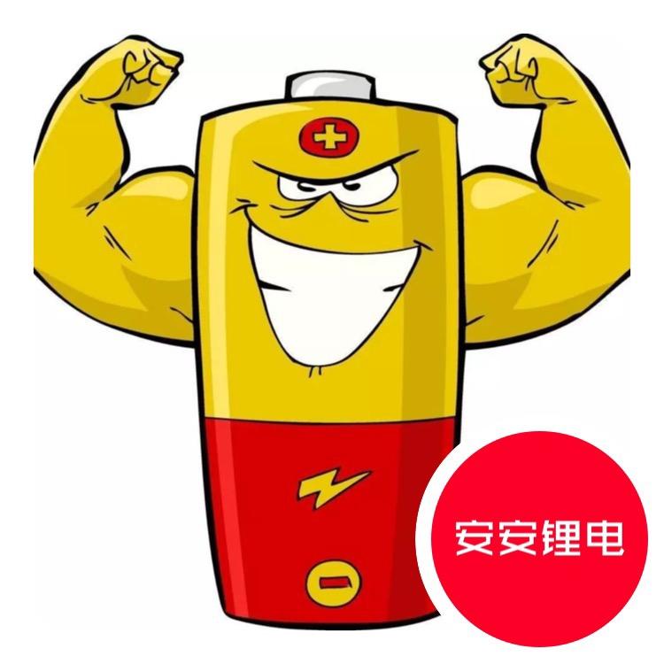 安安动力锂电池
