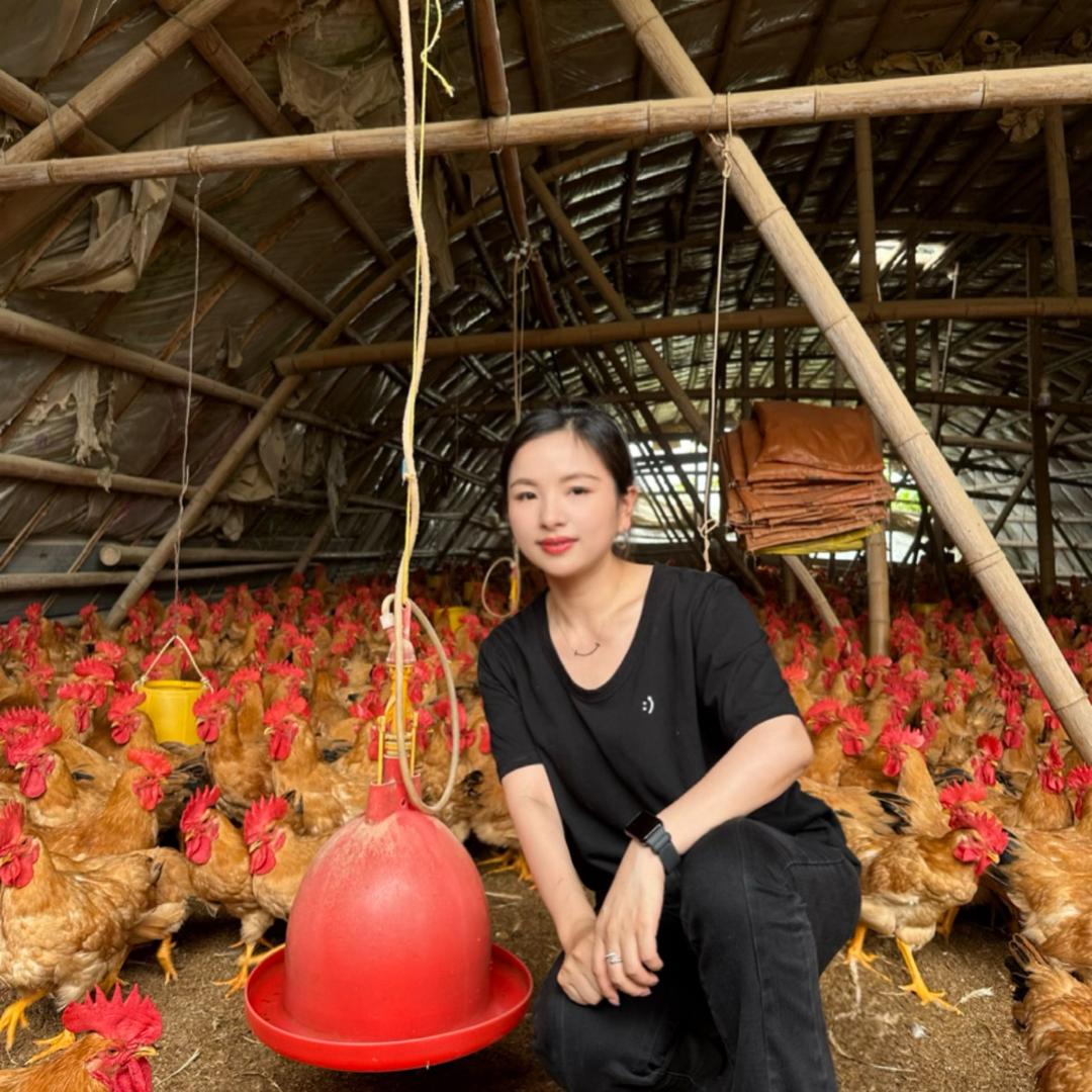 90后女老板-专注养鸡