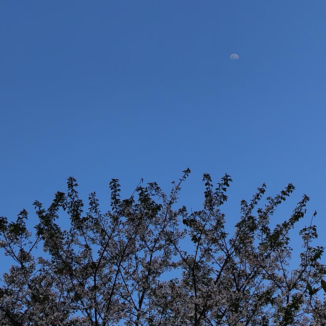 椰椰椰♡v♡ ಣ