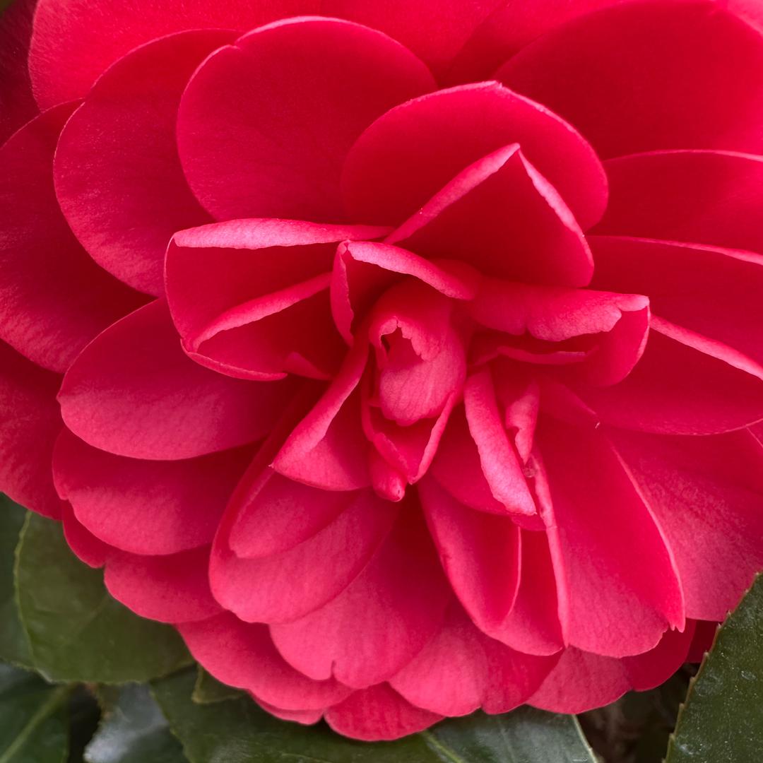 幸福美满的家庭