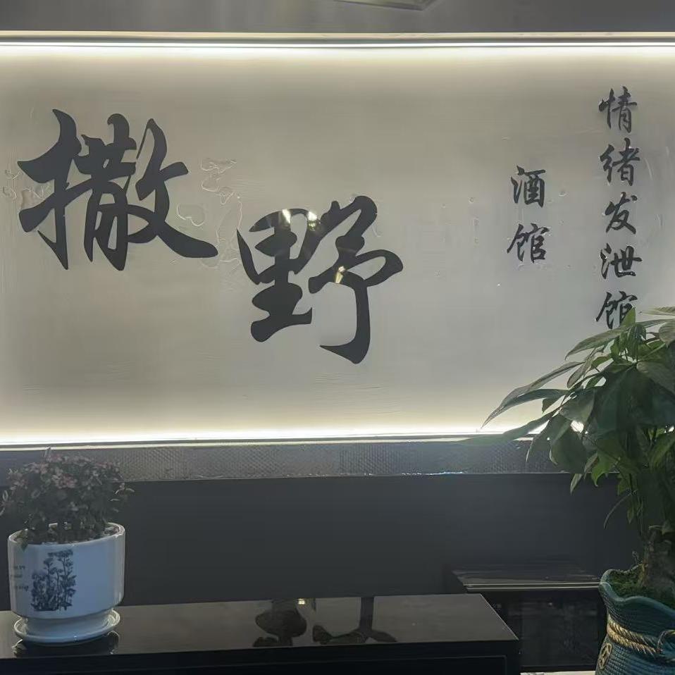 撒野情绪发泄馆·酒馆