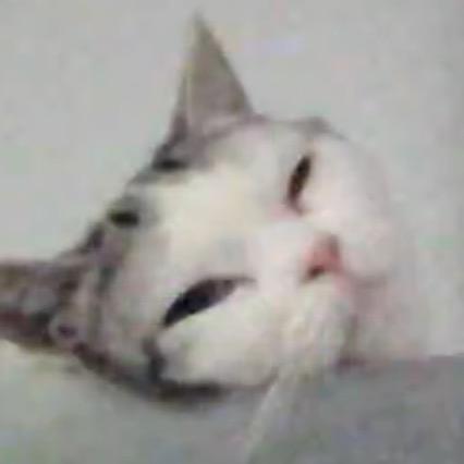 细胞