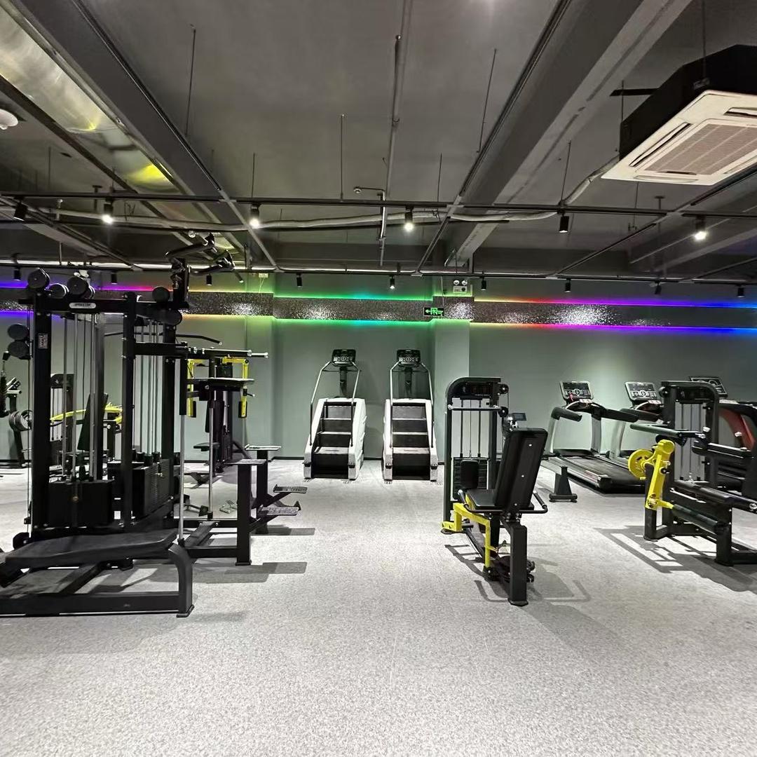 文十二 闪·轻健身