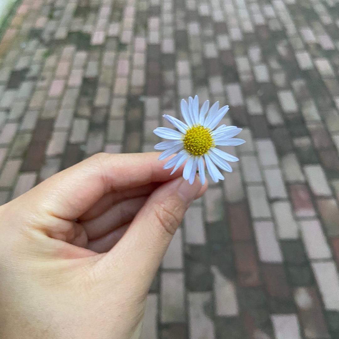 昵称已重置