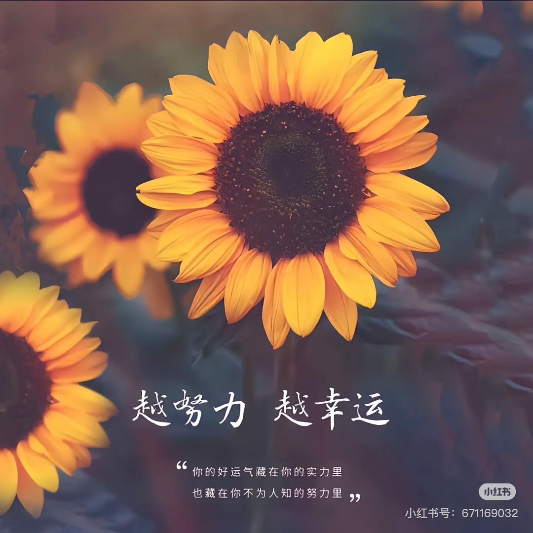 小丸子@