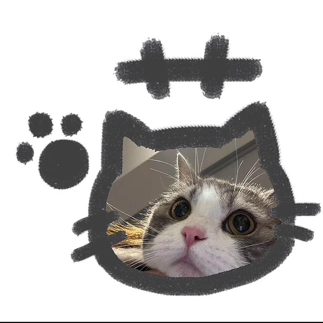 晴晴（减肥日记）