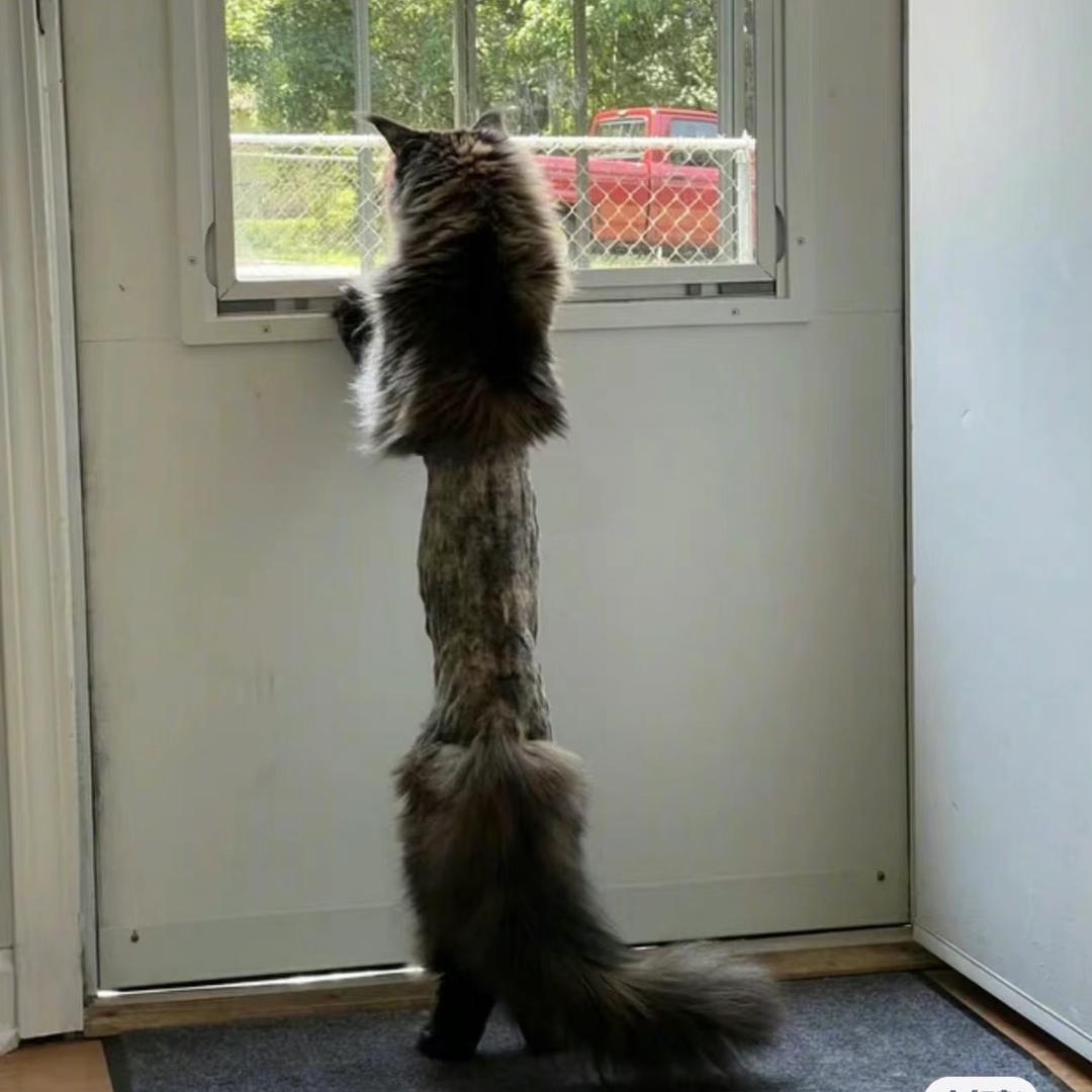 水柱(在兰州有课）