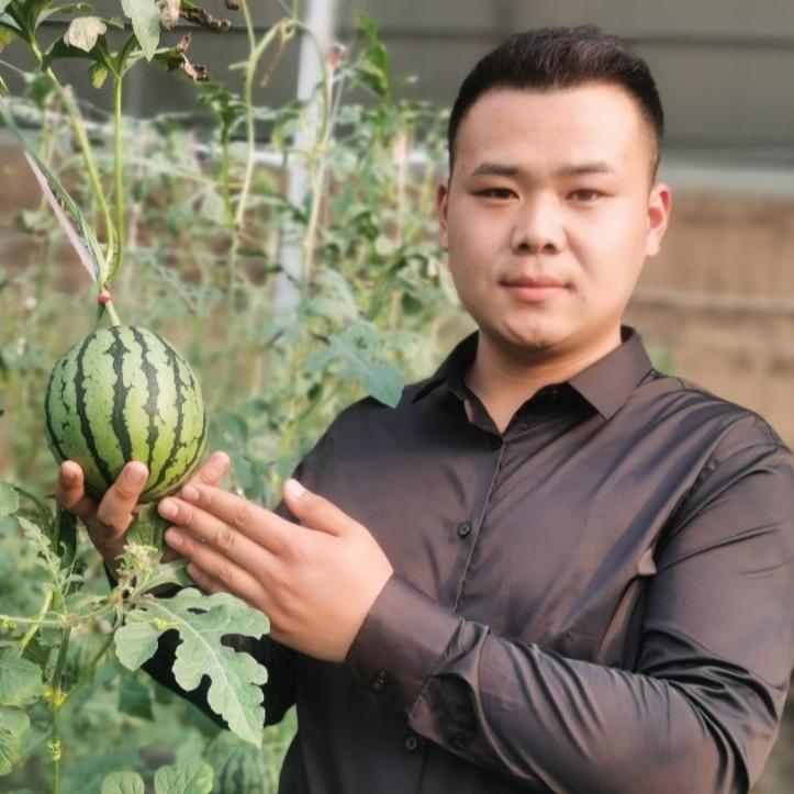 潍坊小糖丸代收代发志勇果业