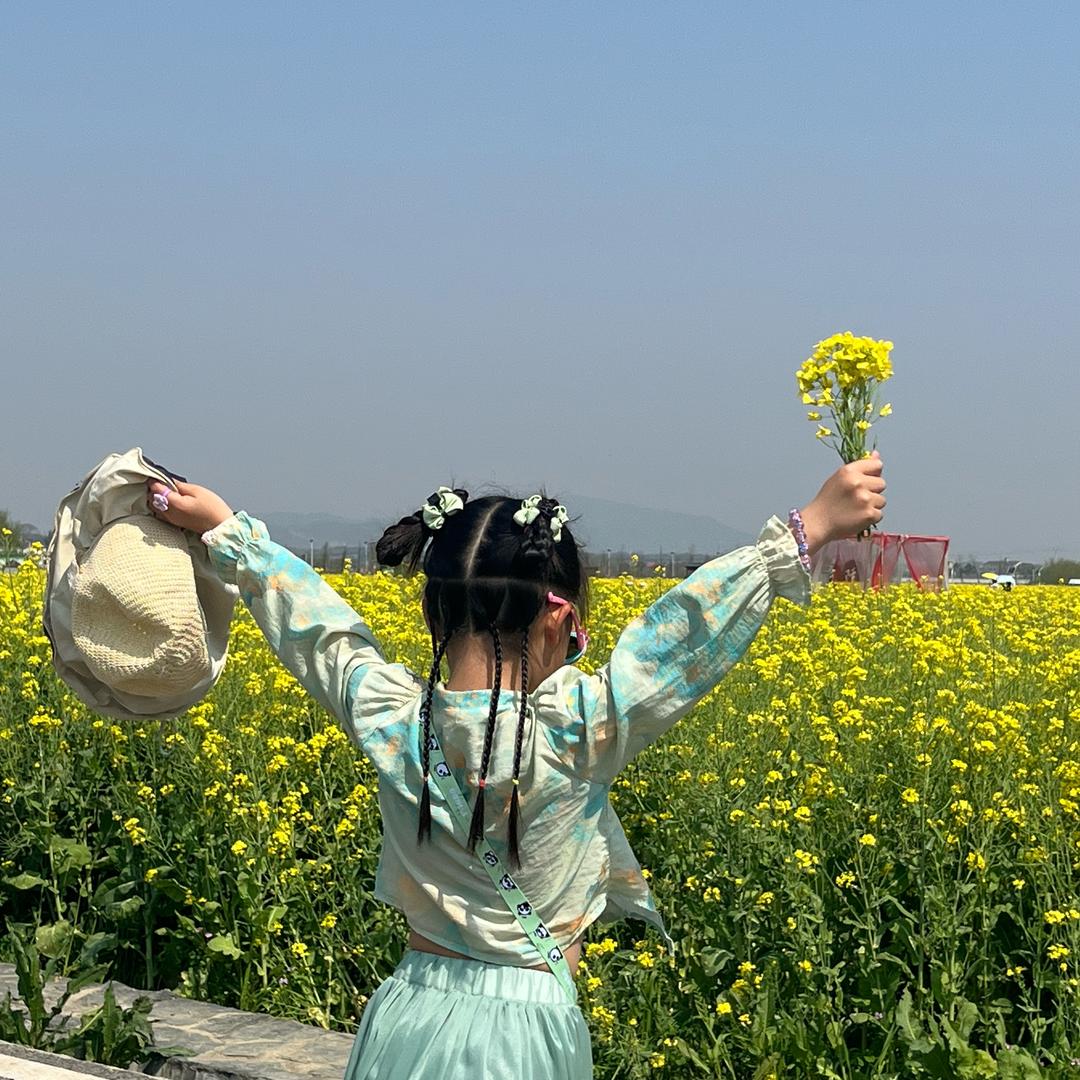 A🎶柳柳