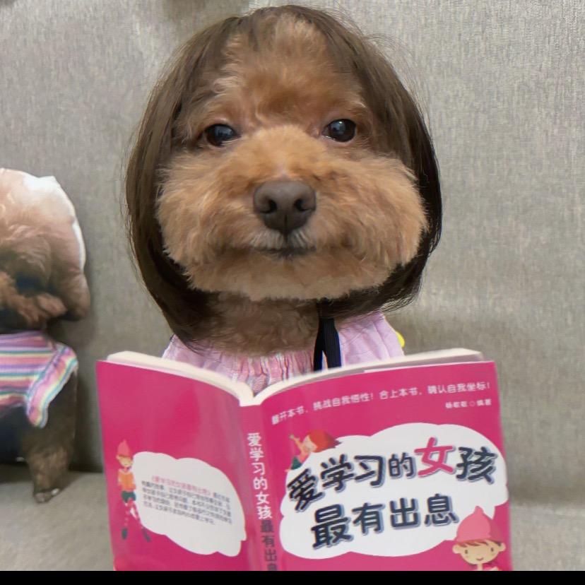 黑化小狗.
