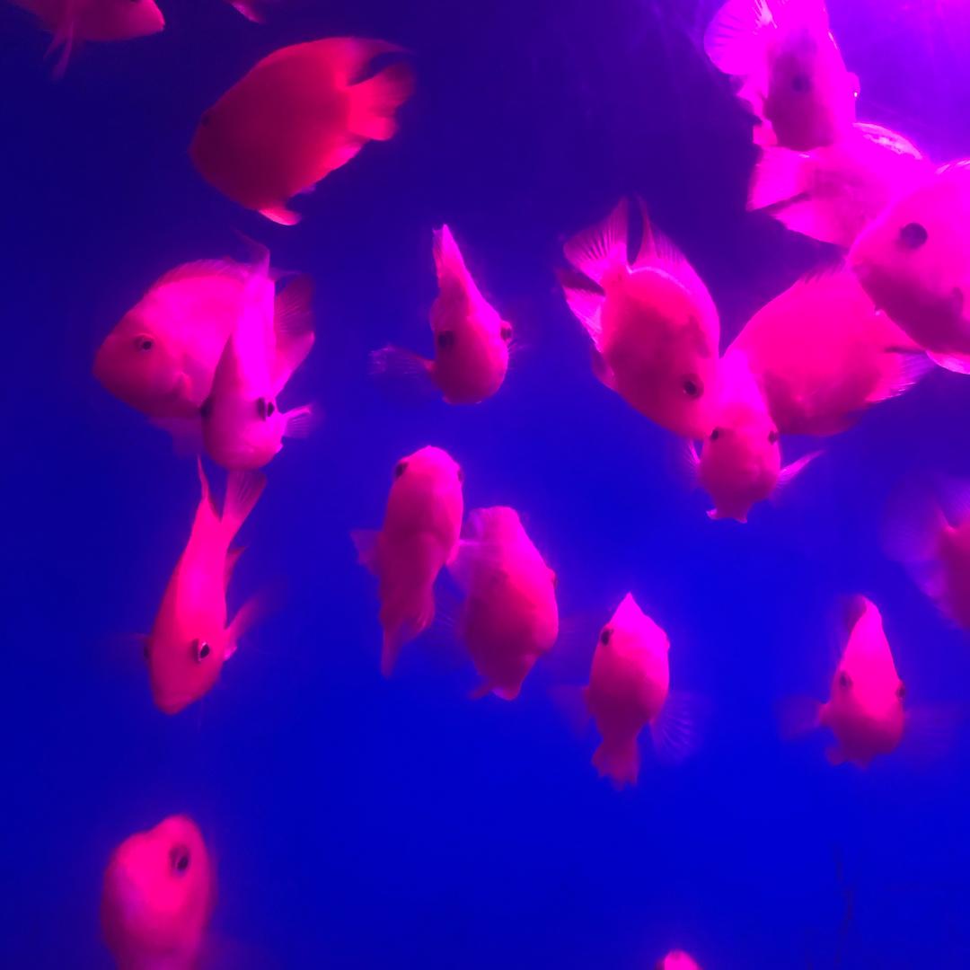 平稳安静