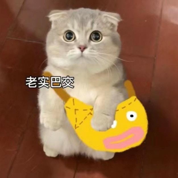 不酗酒～