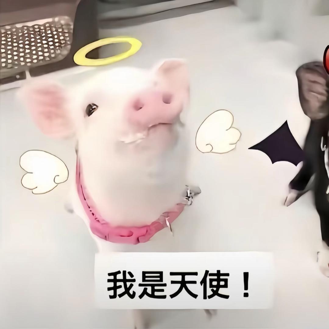 茜茜^