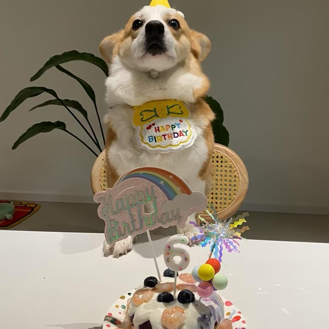 话痨小婳ᕑᗢᓫ