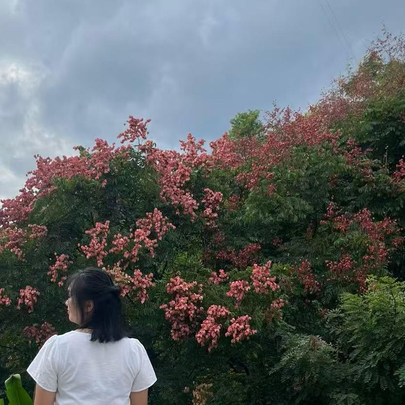 曦