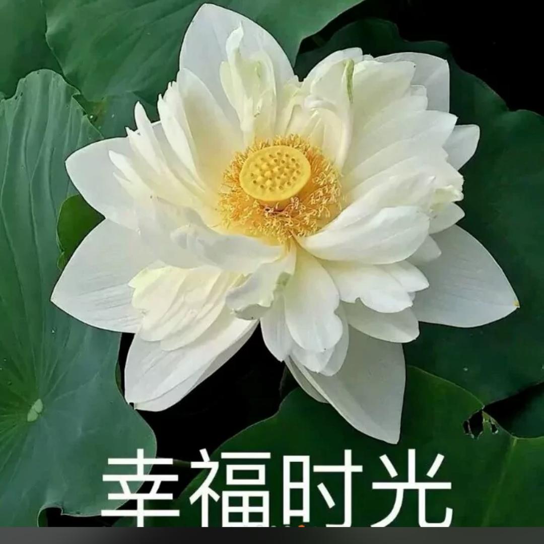 京州市铭宇房地产销售-熊育佳