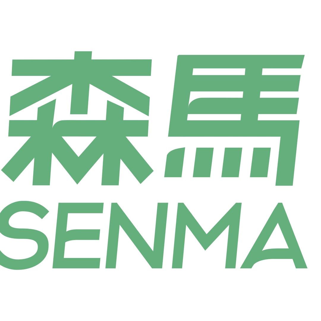 森马SENMA川俊专卖店