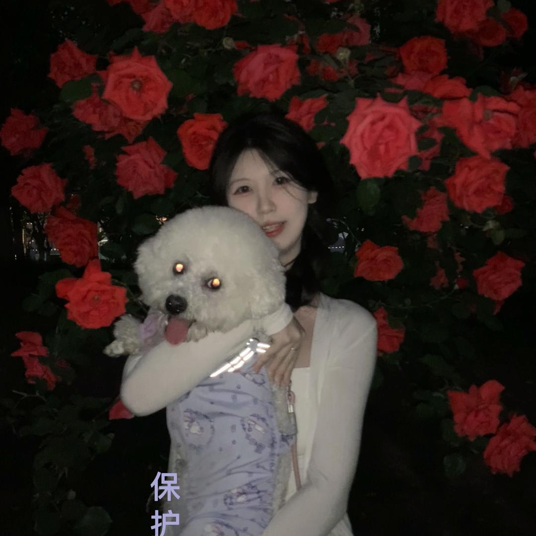 不是-