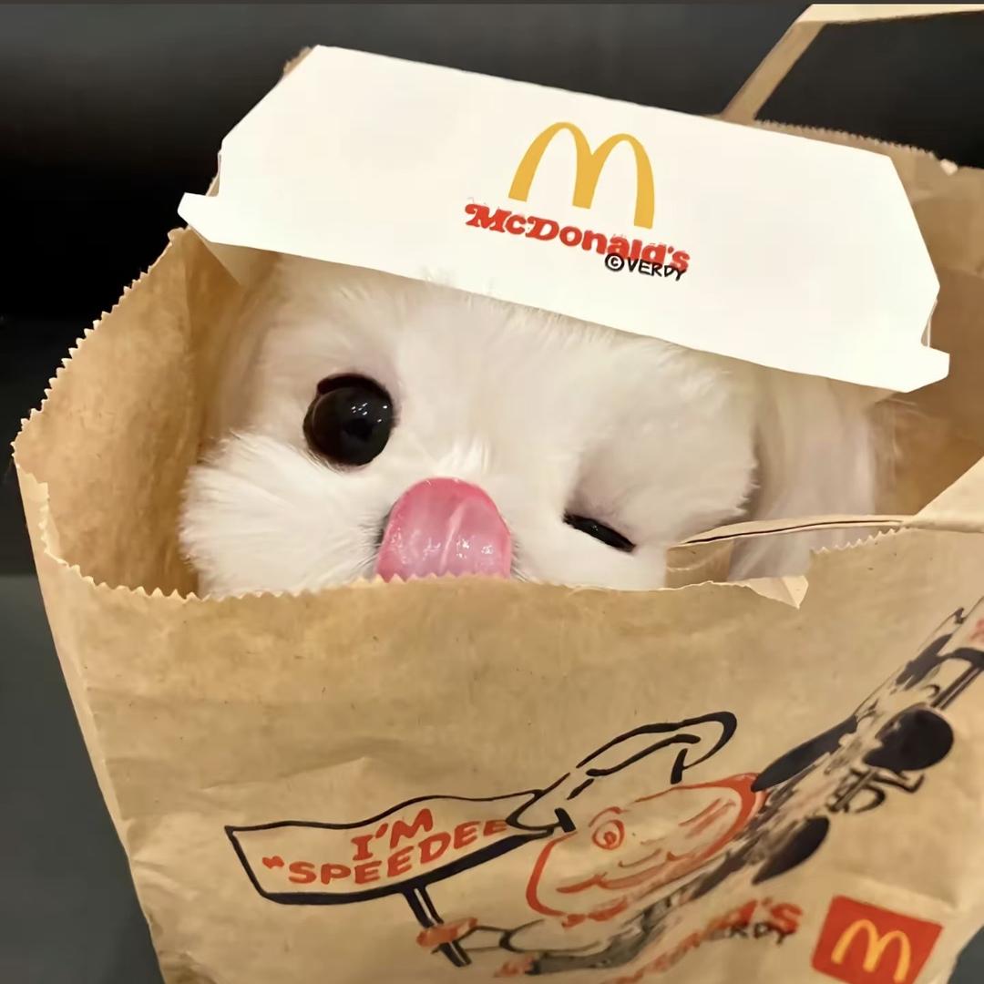 蜡笔小小新