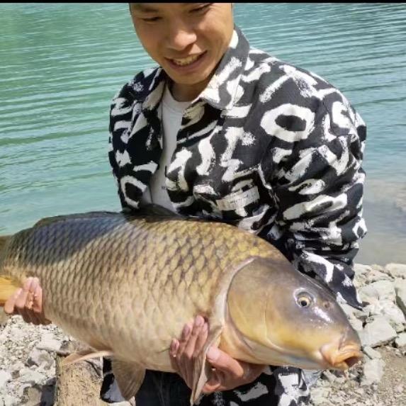 大松户外（CarpKK欧式鲤钓）