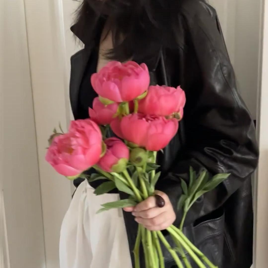 菏泽今喜牡丹花卉培育基地