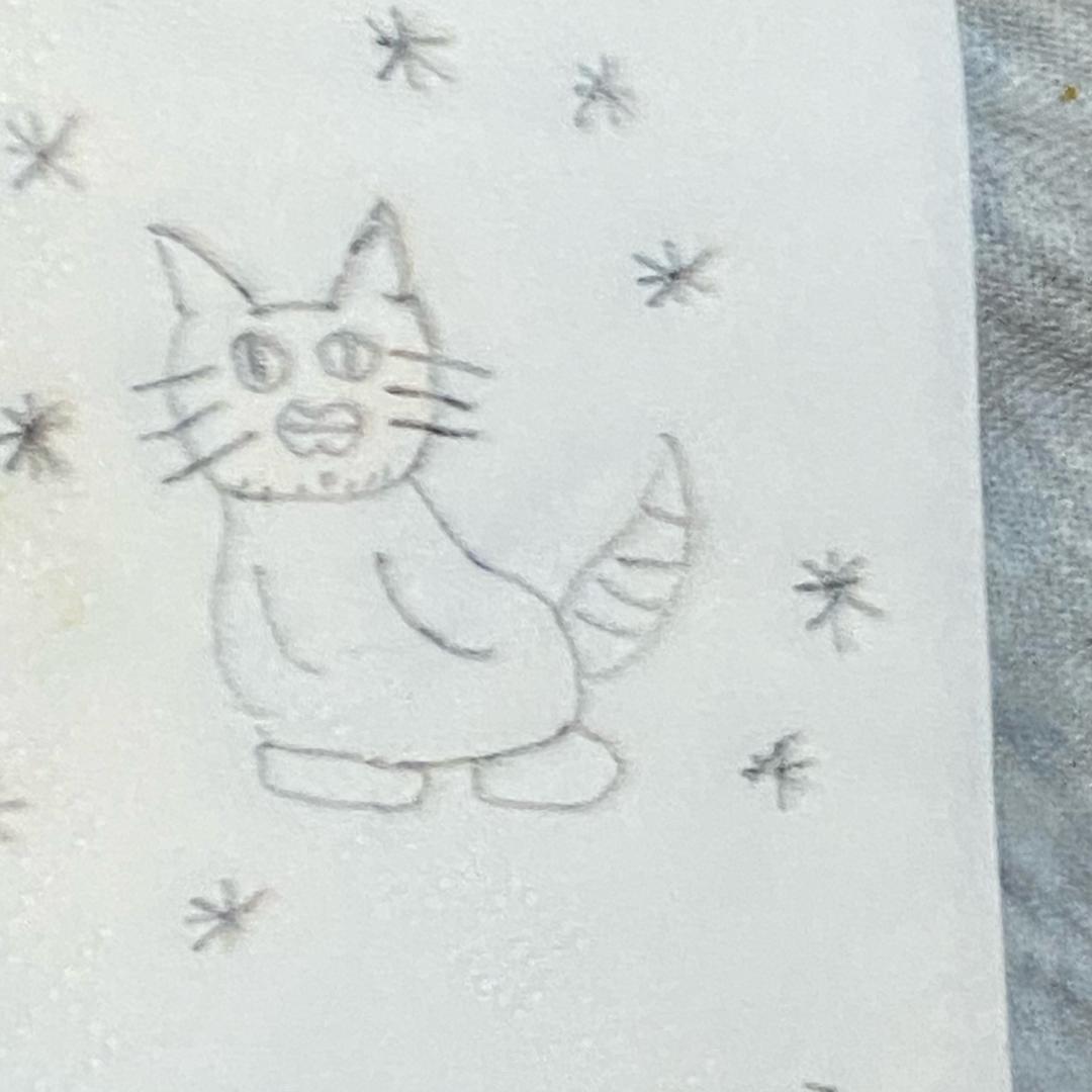 狸