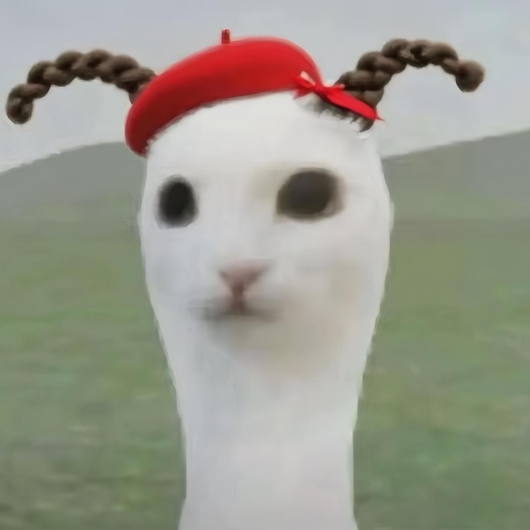 那我说如果呢