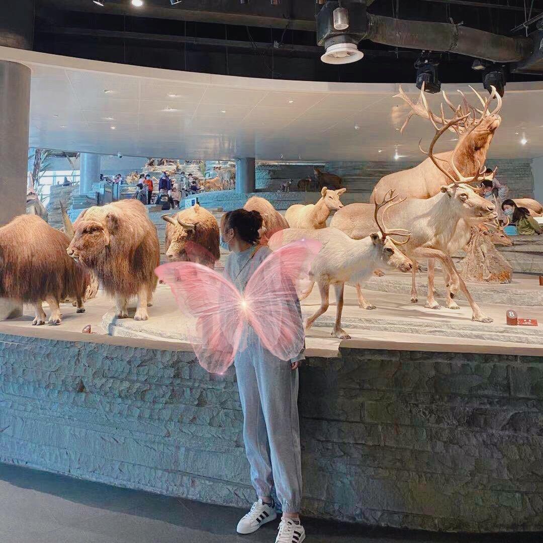 科科是小太阳阿🌞