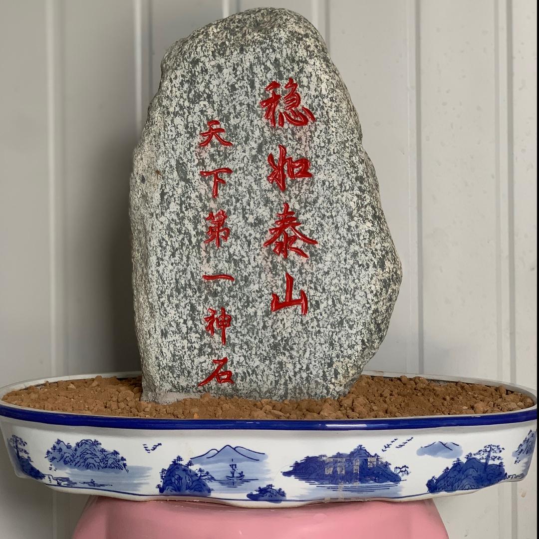 （股运亨通）魏道新