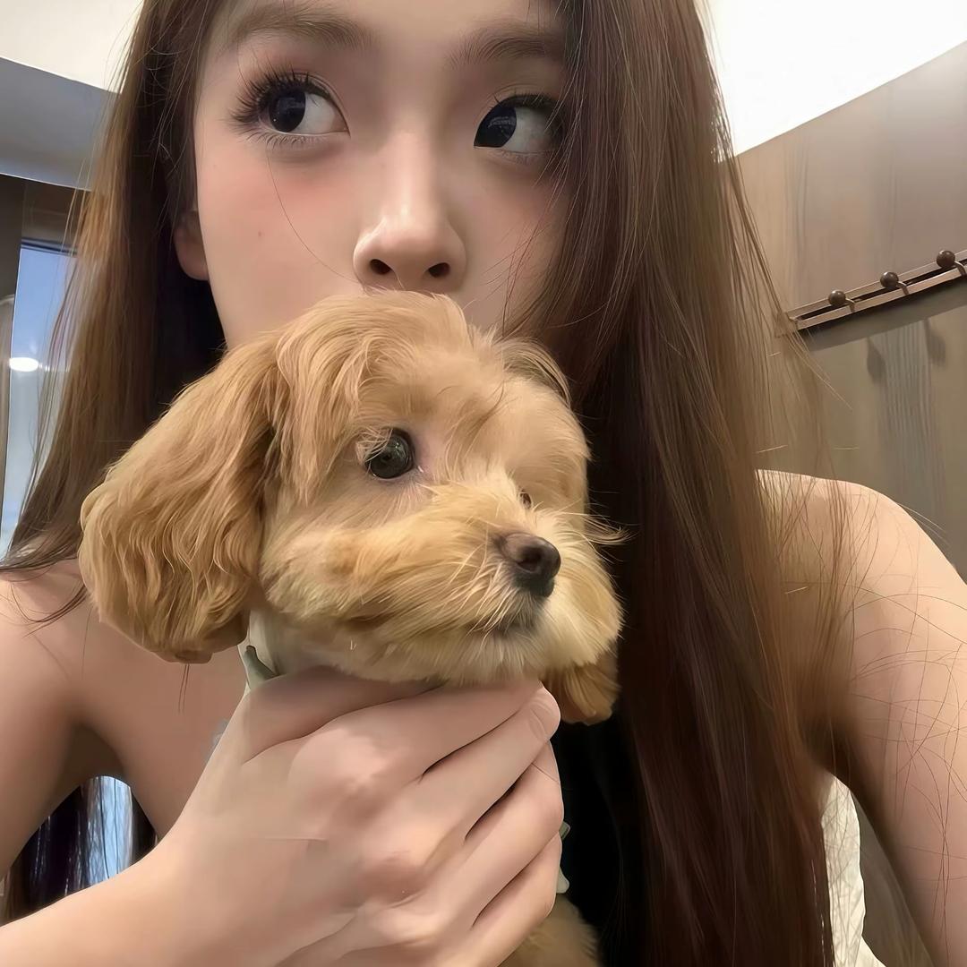 执念。头像
