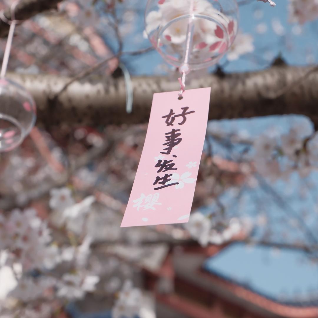 马Kim