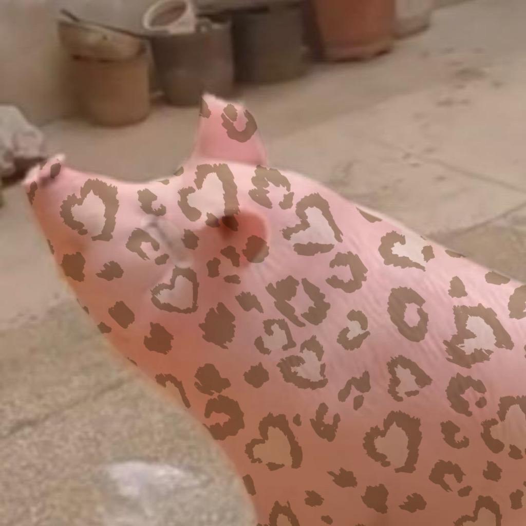 美zhu豹🎀